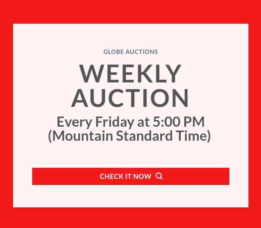 Weekly Auction Hibid